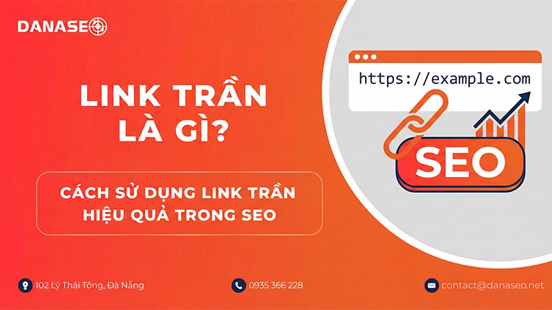 link-tran-la-gi-trong-seo-danaseo