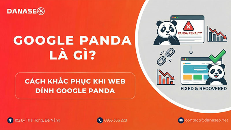 google-panda-la-gi-danaseo