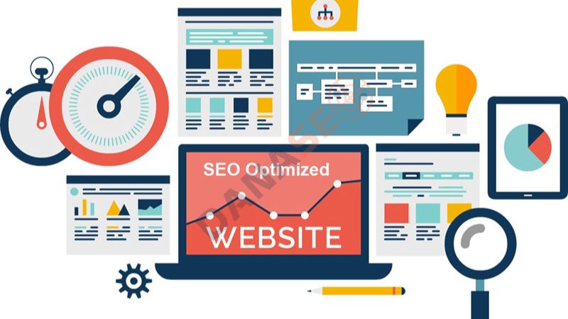 Cách giúp tối ưu website tránh bị ảnh hưởng bởi Google Zebra