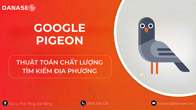google-pigeon-la-gi-danaseo