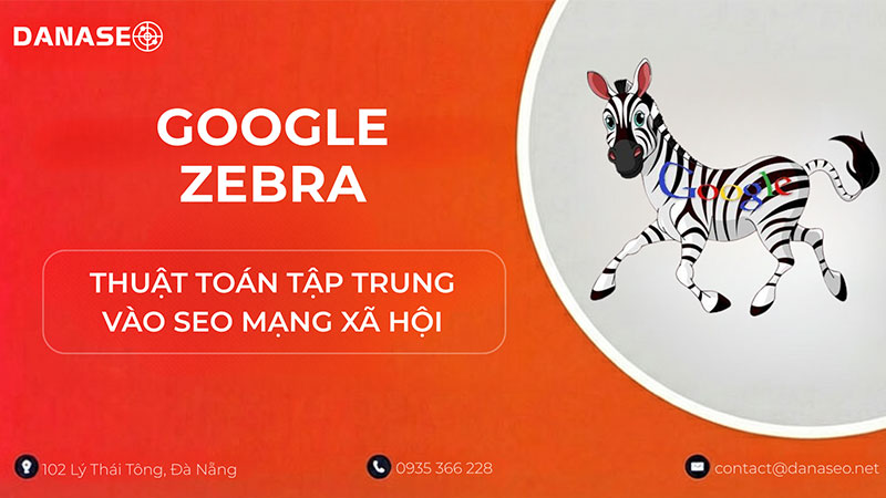 google-zebra-la-gi-danaseo