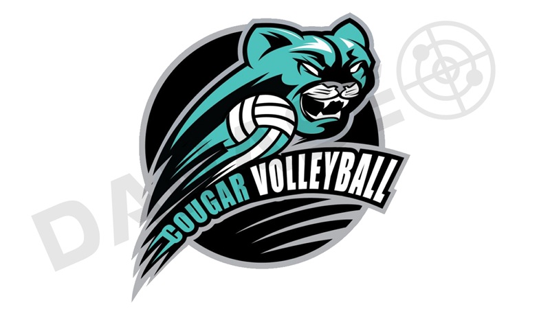 Phong cách thiết kế logo bóng chuyền kiểu linh vật