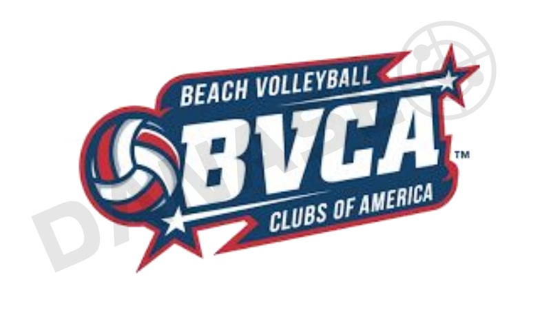 Phong cách thiết kế logo bóng chuyền kiểu tối giản