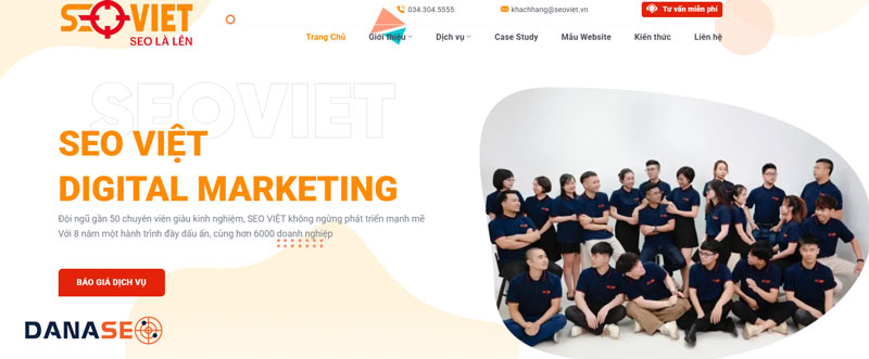 seo-viet-danaseo